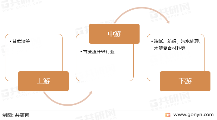 甘蔗渣纤维产业链