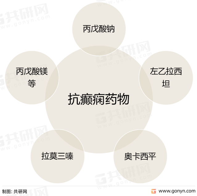 抗癫痫药主要品种
