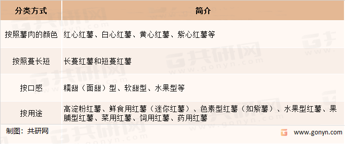 甘薯分类