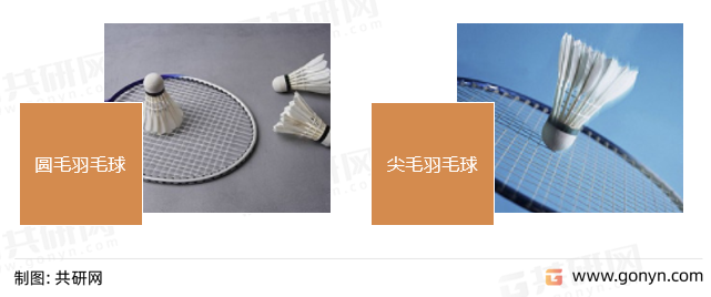 羽毛球分类