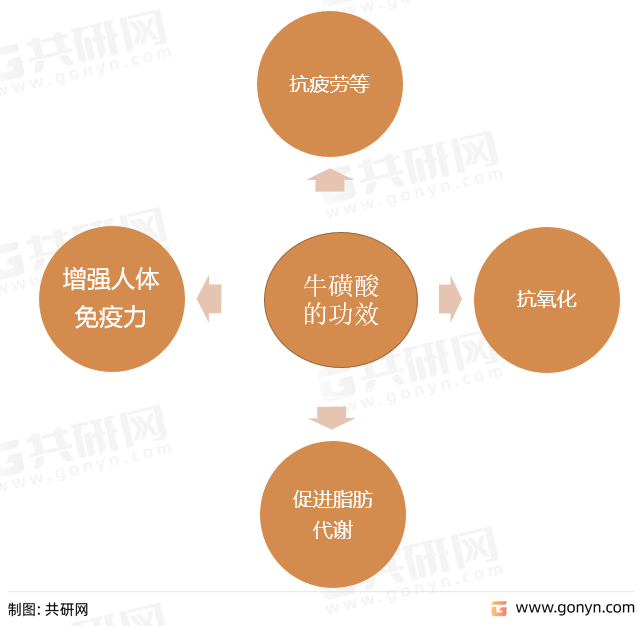 牛磺酸的功效与作用图片