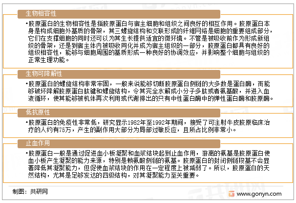 胶原蛋白的生物学特性