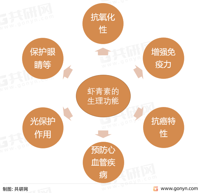 虾青素的生理功能