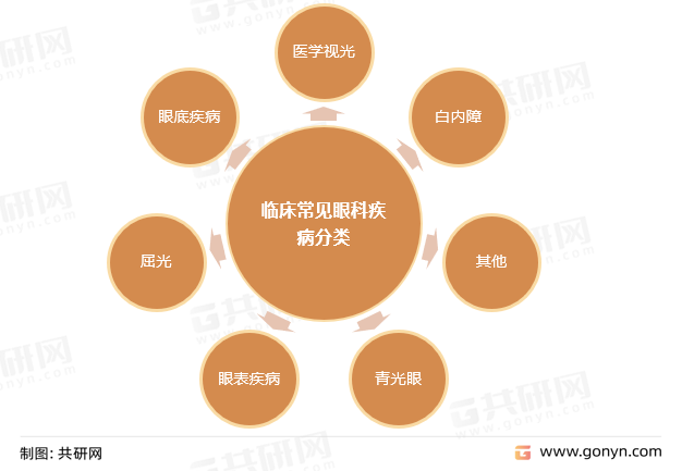临床常见眼科疾病分类