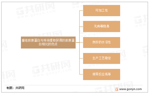重组胶原蛋白与传统提取获得的胶原蛋白相比的优点