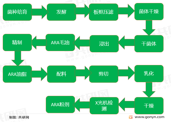 ARA产品工艺流程