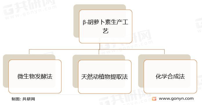 β-胡萝卜素生产工艺