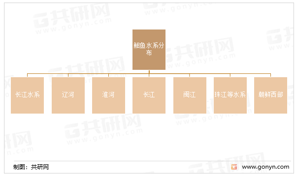 鲍鱼分布