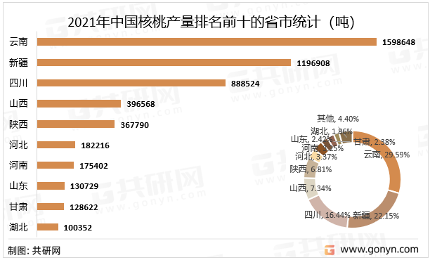 2021年中国核桃产量排名前十的省市统计（吨）