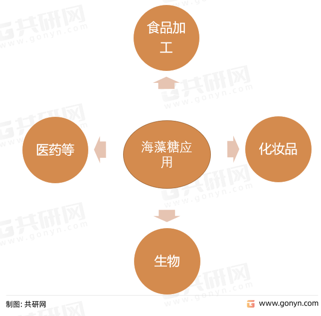 海藻糖应用领域