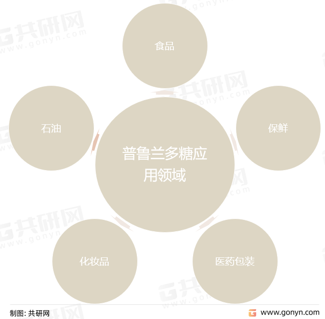 普鲁兰多糖应用领域