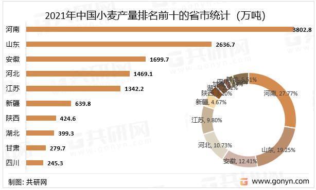 2021年中国小麦产量排名前十的省市统计（万吨）