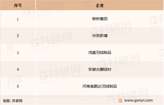 国内羽绒羽毛加工主要企业
