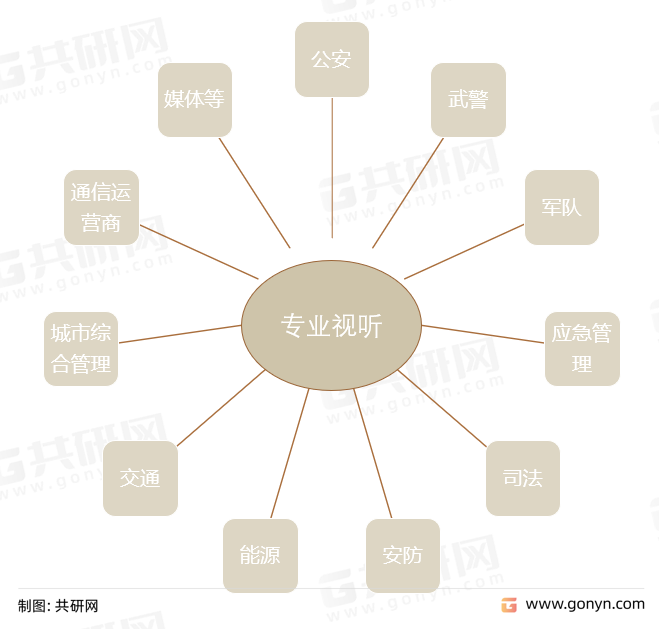 专业视听应用领域