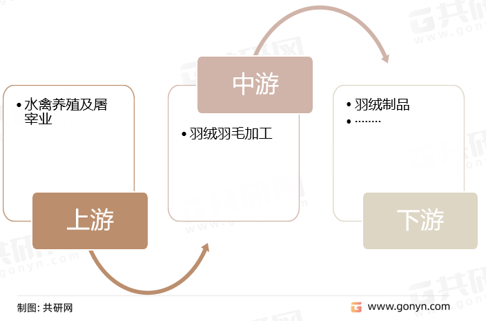 羽绒羽毛生产加工产业链