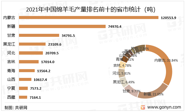 2021年中国绵羊毛产量排名前十的省市统计（吨）