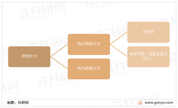 药物交付的组成