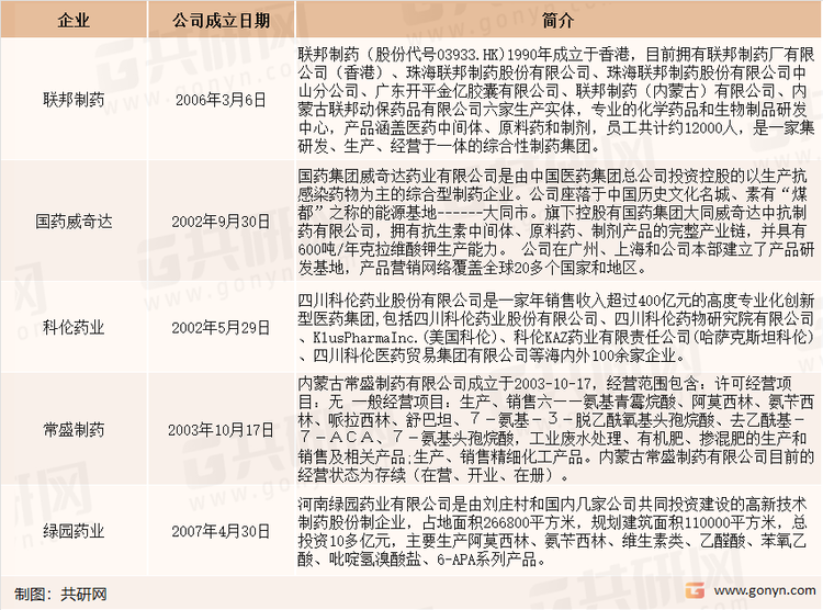 全球6-APA的主要生产企业介绍