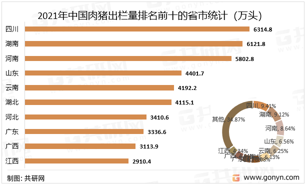 2021年中国肉猪出栏量排名前十的省市统计（万头）