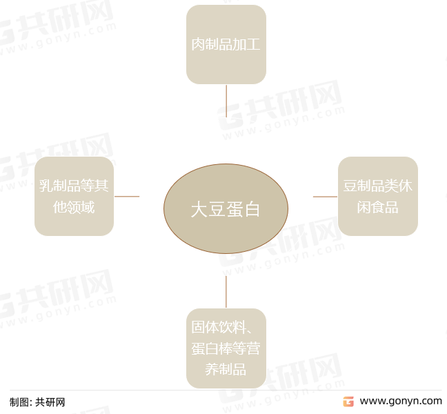 大豆蛋白主要应用