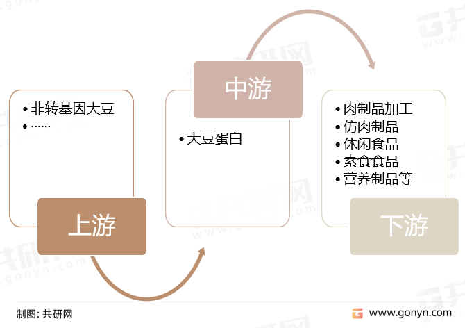 大豆蛋白产业链