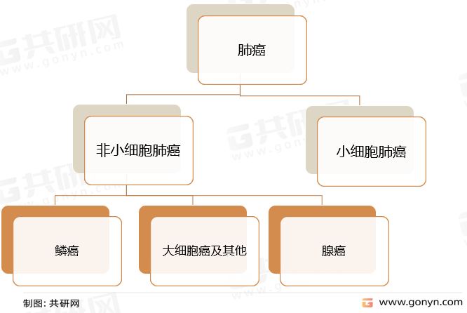 肺癌疾病分类