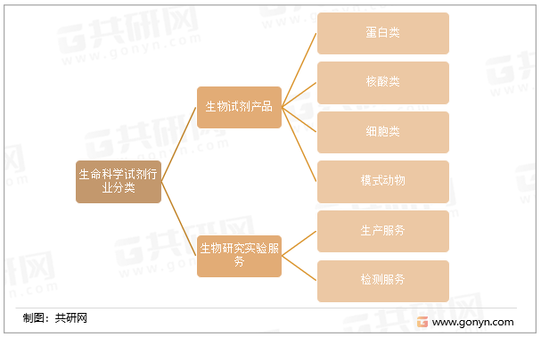 生命科学试剂行业分类