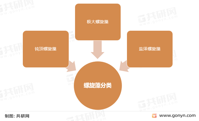 螺旋藻分类