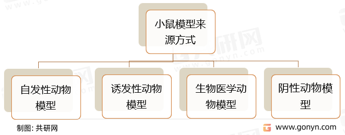 小鼠模型来源方式分类