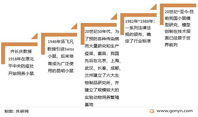实验动物小鼠模型发展历程