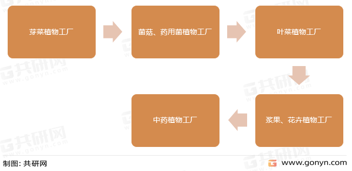 植物工厂发展流程