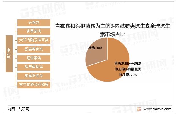 青霉素和头孢菌素为主的β-内酰胺类抗生素全球抗生素市场占比