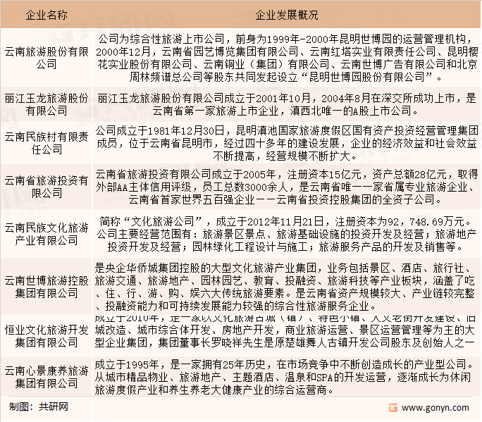 云南旅游业标杆企业介绍