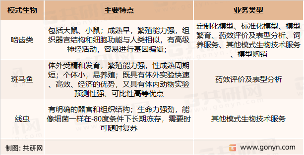 基因修饰动物模型物种分类