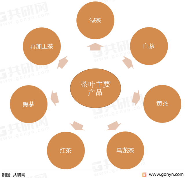 茶叶主要产品