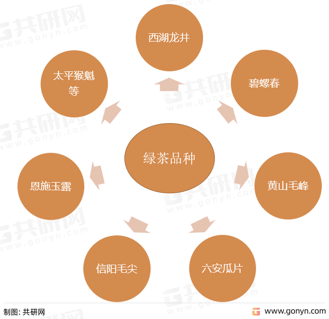绿茶知名品种