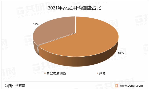 2021年家庭用瑜伽垫占比