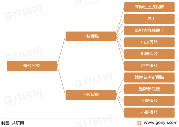 假肢分类