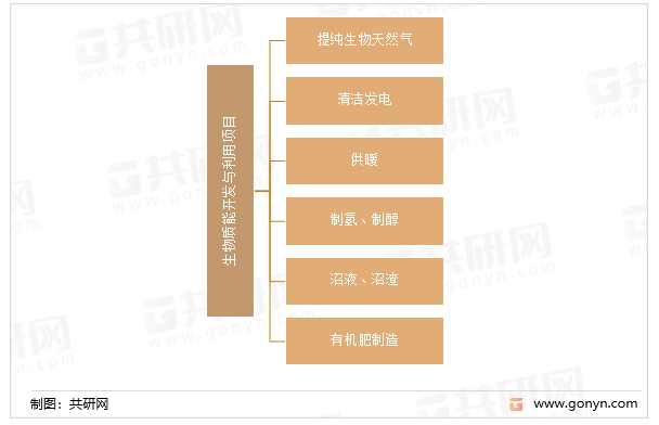 生物质能开发与利用项目