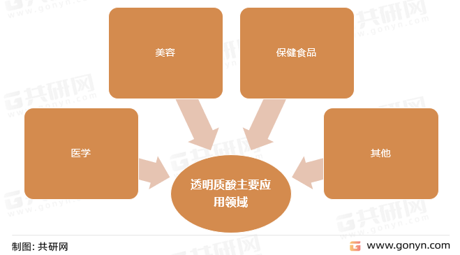 透明质酸主要应用领域