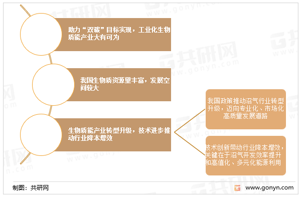 生物质能开发与利用行业驱动因素