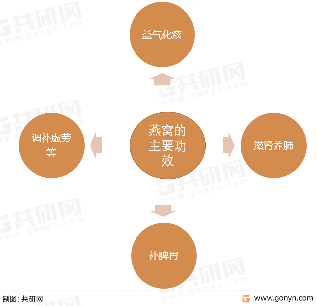 燕窝的主要功效