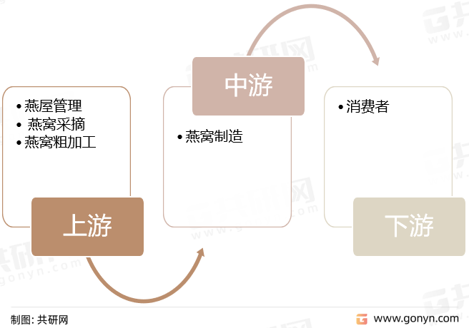 燕窝产业链结构