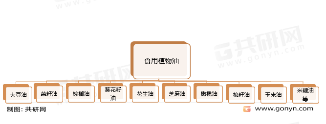 食用植物油分类