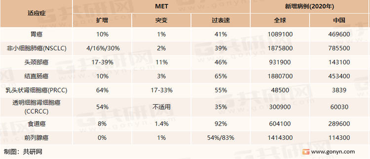 MET突变与肿瘤的关系
