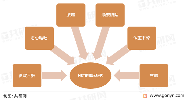 NET的临床症状