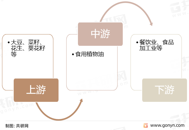 食用植物油产业链