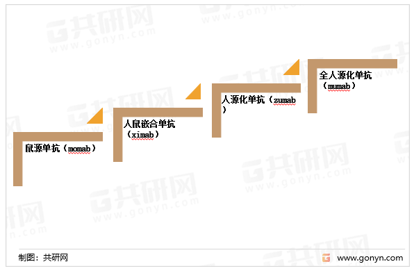 治疗性抗体行业发展阶段
