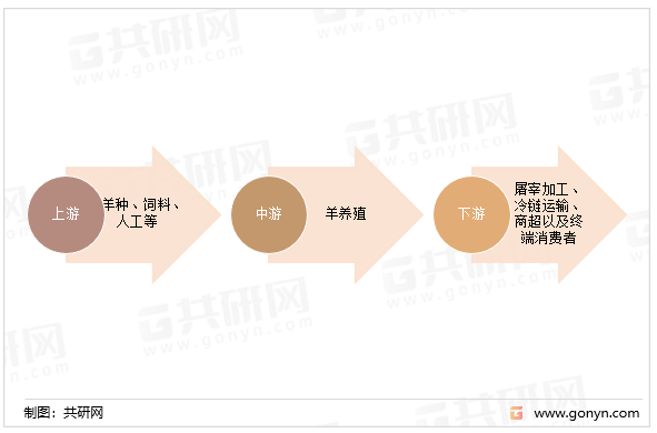 羊养殖产业链结构