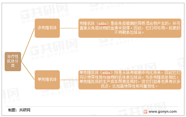 治疗性抗体分类